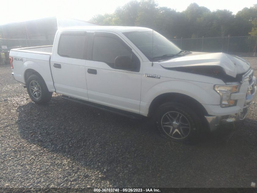 2015 FORD F-150 XLT/XL - 1FTEW1E87FFC50768