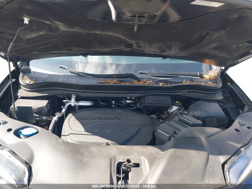 VIN 5FNYF5H22MB036039 2021 HONDA PILOT SPECIAL EDITION