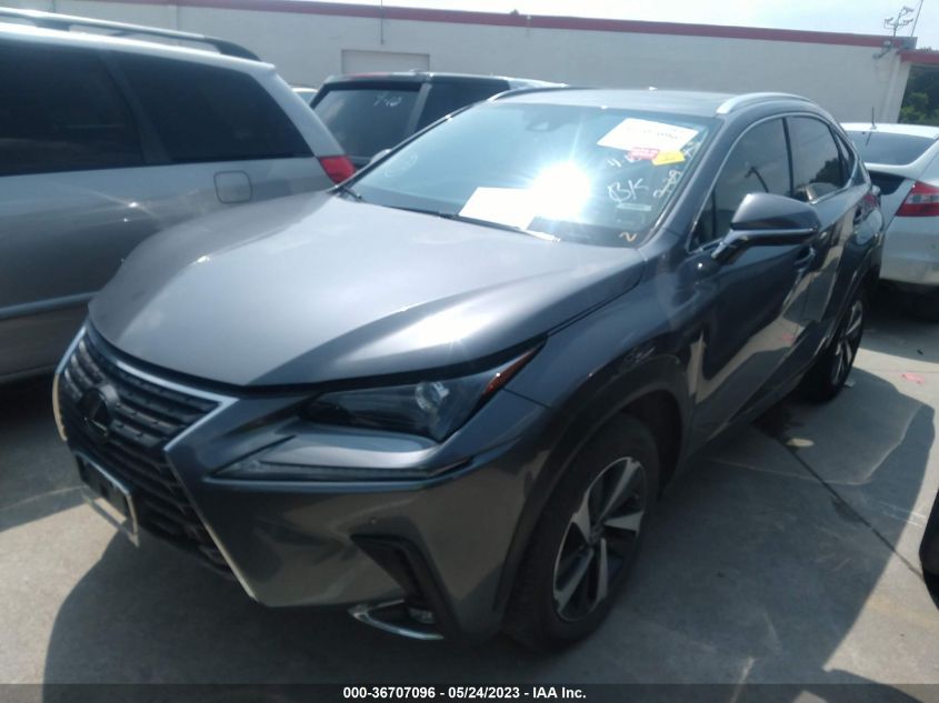 2020 LEXUS NX NX 300 - JTJGARBZ2L2160141