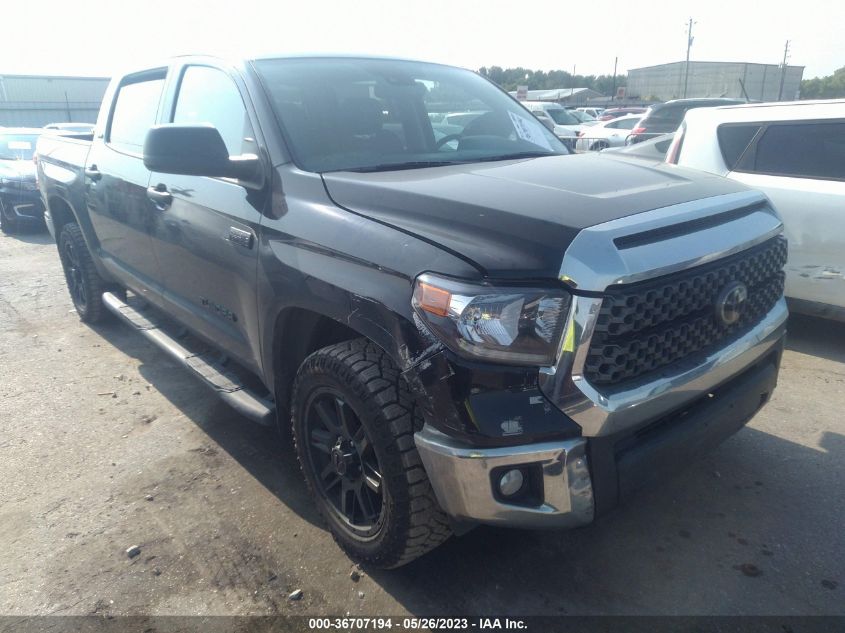 2021 TOYOTA TUNDRA 2WD SR5 - 5TFEY5F13MX288167