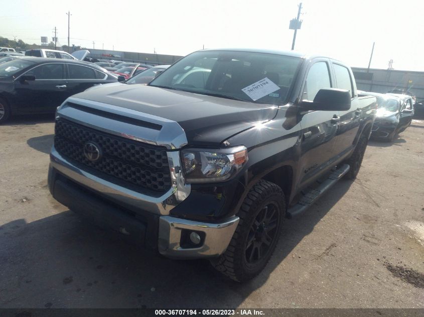 2021 TOYOTA TUNDRA 2WD SR5 - 5TFEY5F13MX288167