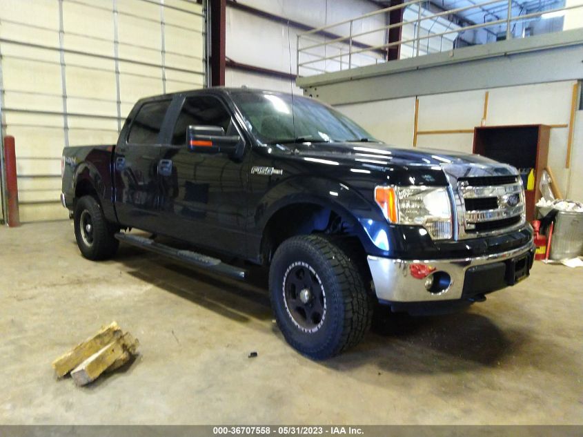 2013 FORD F-150 XL/XLT/FX4/LARIAT - 1FTFW1EF7DFD33827