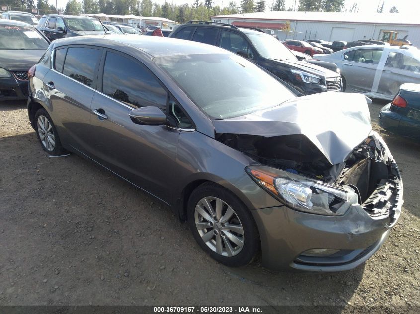 2015 KIA FORTE 5-DOOR EX - KNAFX5A83F5420884