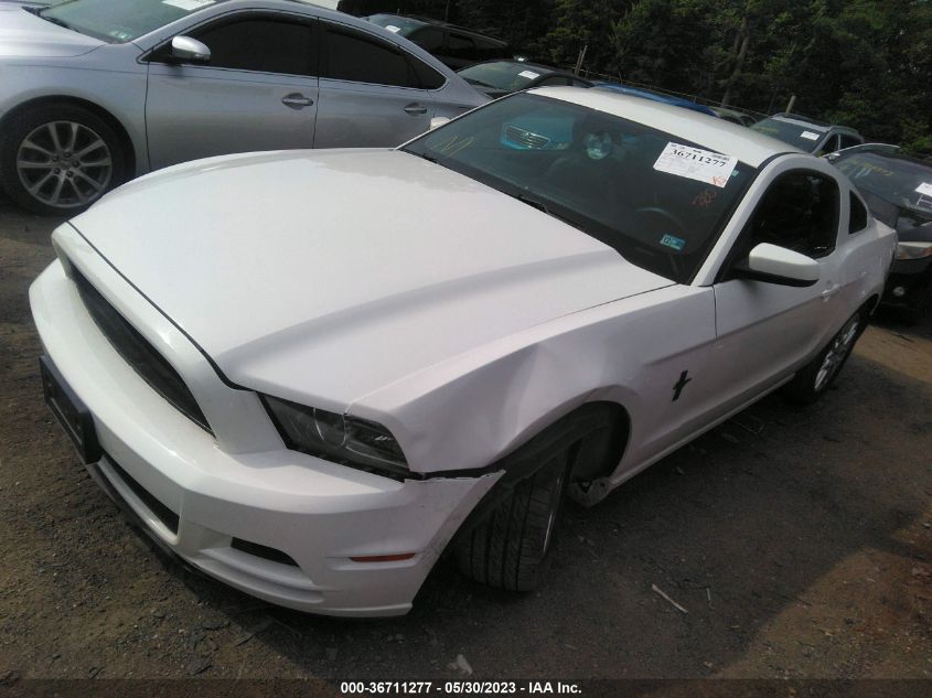 2013 FORD MUSTANG V6 - 1ZVBP8AM2D5270955