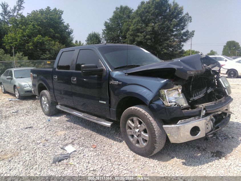 2013 FORD F-150 XL/XLT/FX4/LARIAT - 1FTFW1ET5DKF41721