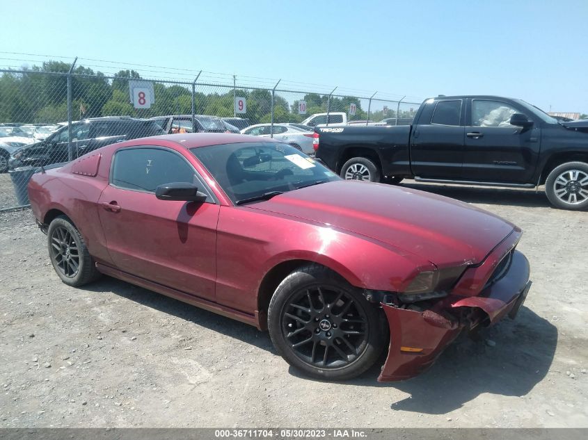 2014 FORD MUSTANG V6 - 1ZVBP8AM1E5226270