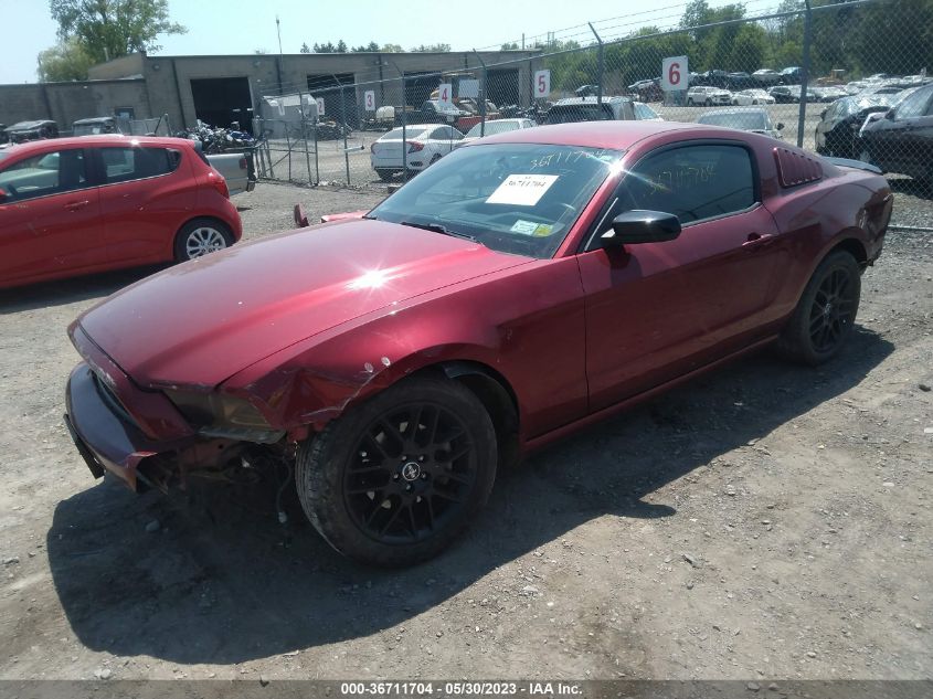 2014 FORD MUSTANG V6 - 1ZVBP8AM1E5226270