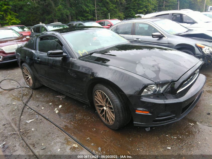 2013 FORD MUSTANG V6 - 1ZVBP8AM6D5234010