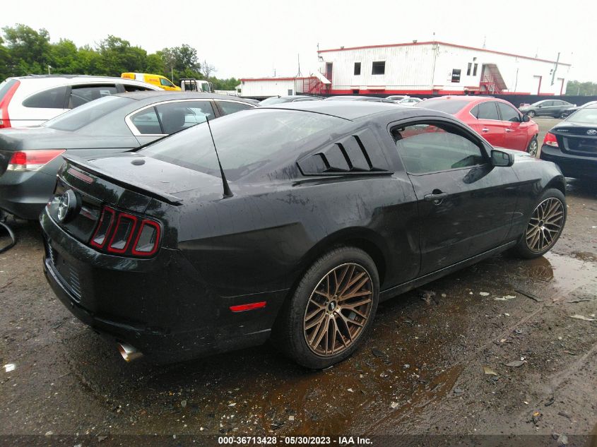 2013 FORD MUSTANG V6 - 1ZVBP8AM6D5234010