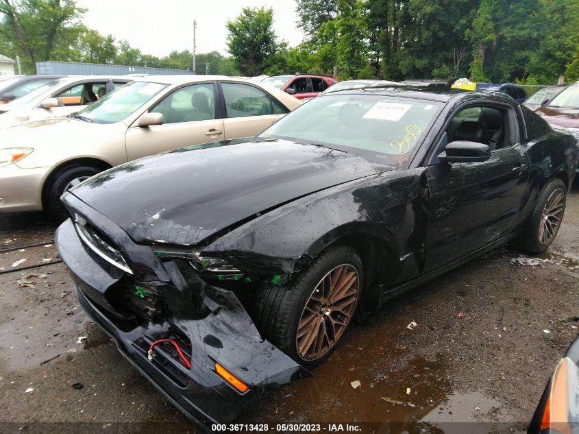 2013 FORD MUSTANG V6 - 1ZVBP8AM6D5234010