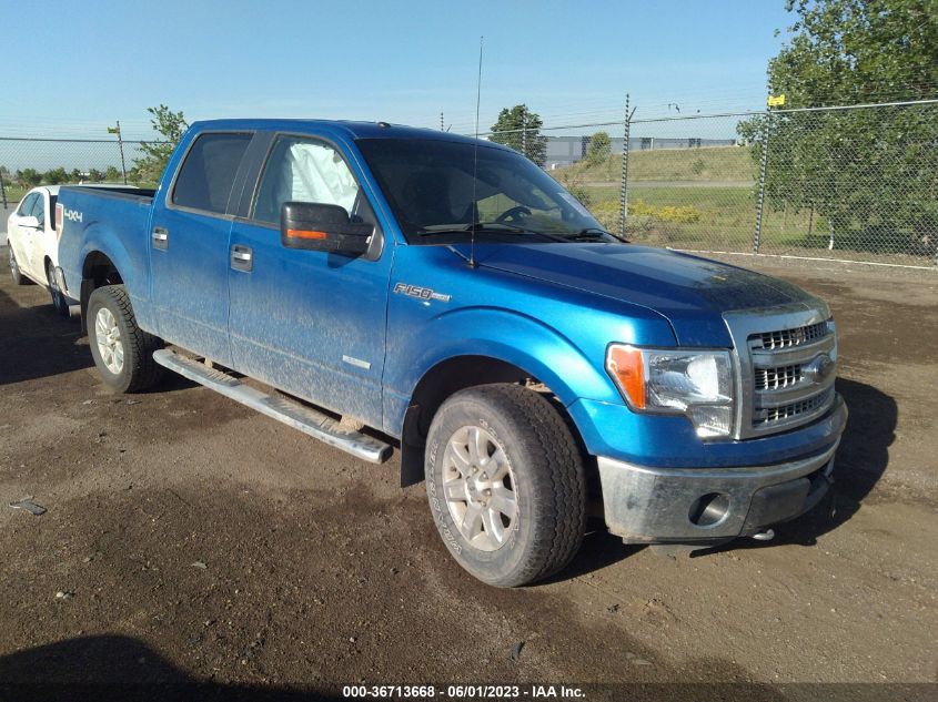 2013 FORD F-150 XL/XLT/FX4/LARIAT - 1FTFW1ET8DKG51212