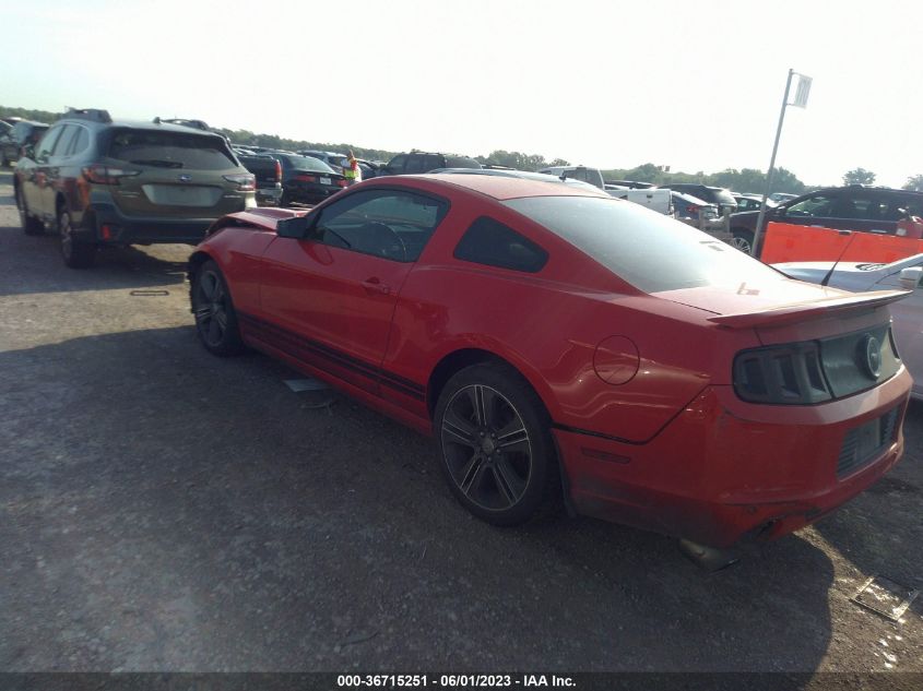 2013 FORD MUSTANG V6 - 1ZVBP8AMXD5226671