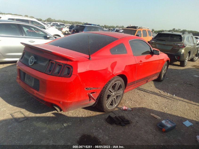 2013 FORD MUSTANG V6 - 1ZVBP8AMXD5226671