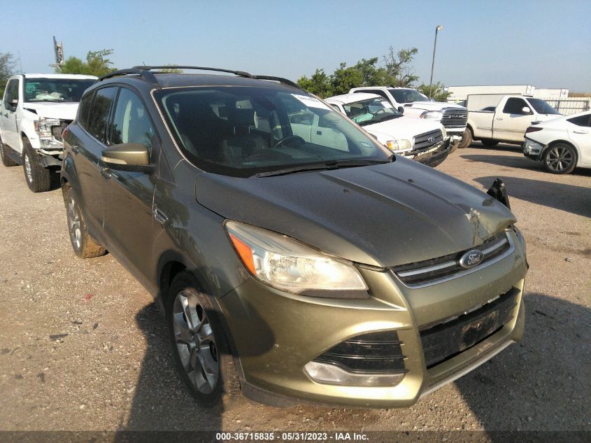 2013 FORD ESCAPE SEL - 1FMCU0H94DUA02459