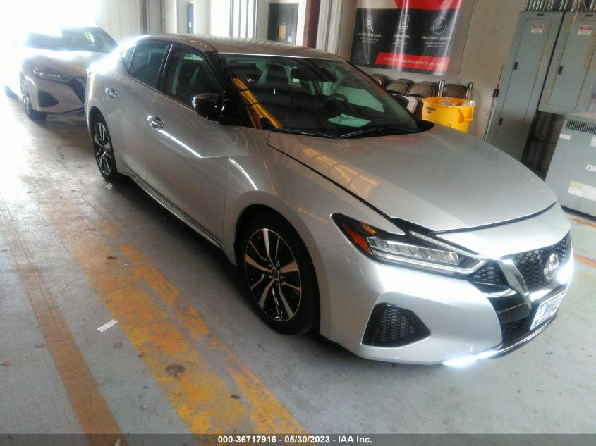 2023 NISSAN MAXIMA SV - 1N4AA6CV1PC509590