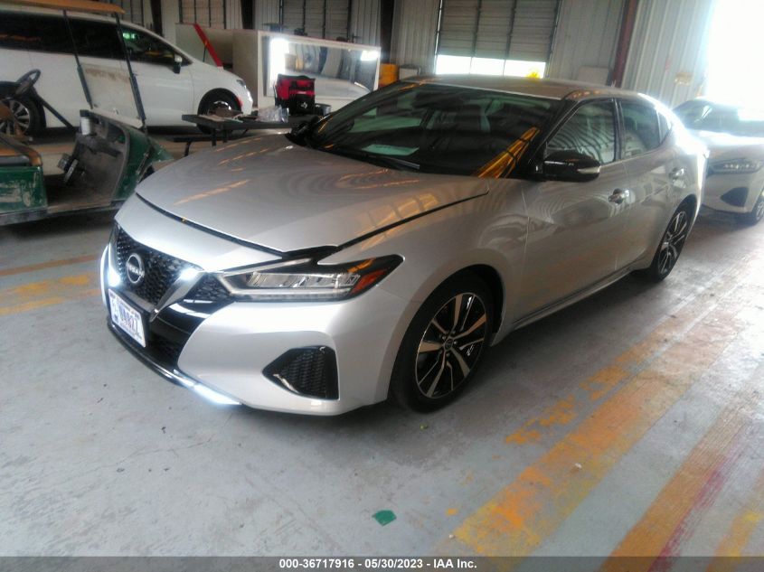 2023 NISSAN MAXIMA SV - 1N4AA6CV1PC509590
