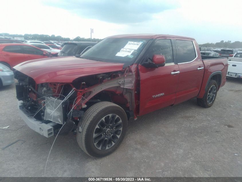 2022 TOYOTA TUNDRA 2WD LIMITED - 5TFJA5AB7NX003376