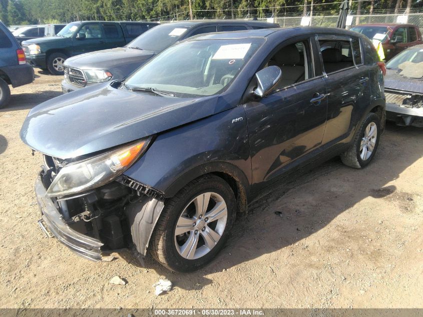 2013 KIA SPORTAGE LX - KNDPBCA20D7393134
