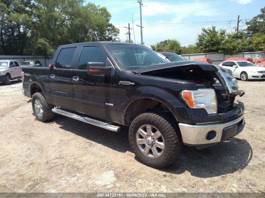 2013 FORD F-150 XL/XLT/FX4/LARIAT - 1FTFW1ETXDKE28086