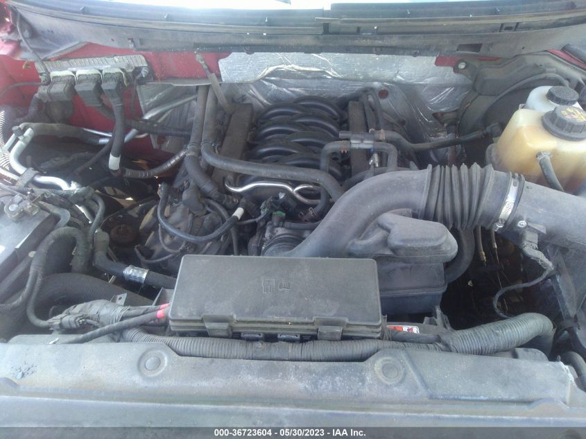 2013 FORD F-150 XL/STX/XLT/FX4/LARIAT - 1FTFX1EF3DFA36275