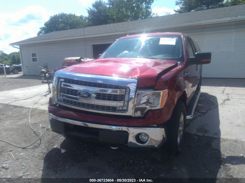 2013 FORD F-150 XL/STX/XLT/FX4/LARIAT - 1FTFX1EF3DFA36275