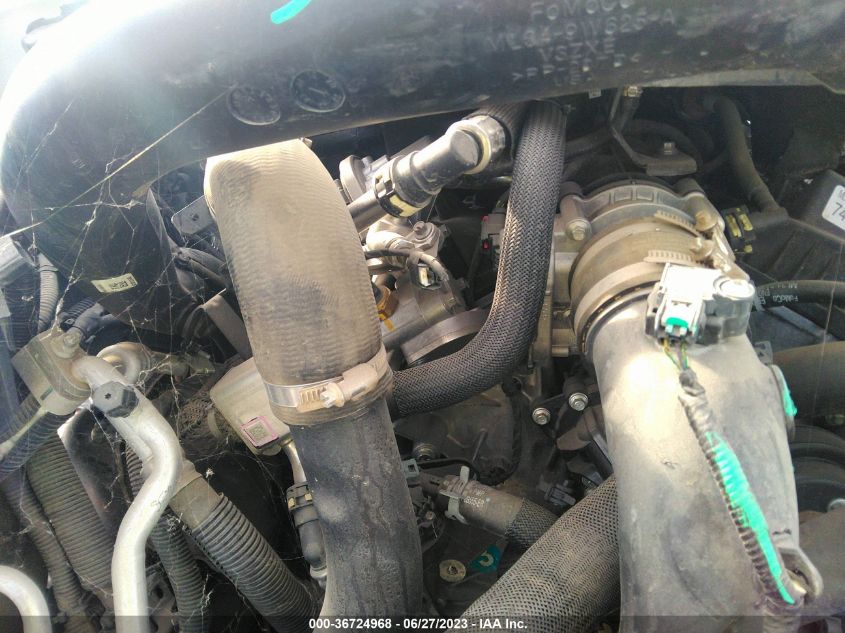 2021 FORD F-150 XL/XLT/LARIAT - 1FTFW1E81MKD23058