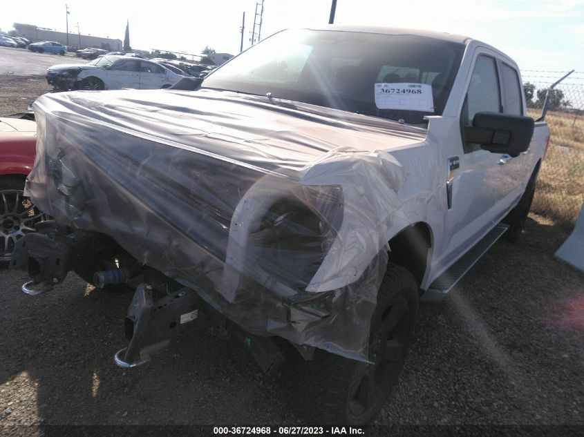 2021 FORD F-150 XL/XLT/LARIAT - 1FTFW1E81MKD23058