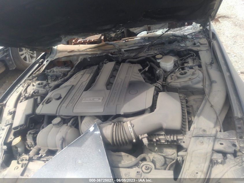 2019 FORD MUSTANG GT - 1FA6P8CF5K5196601