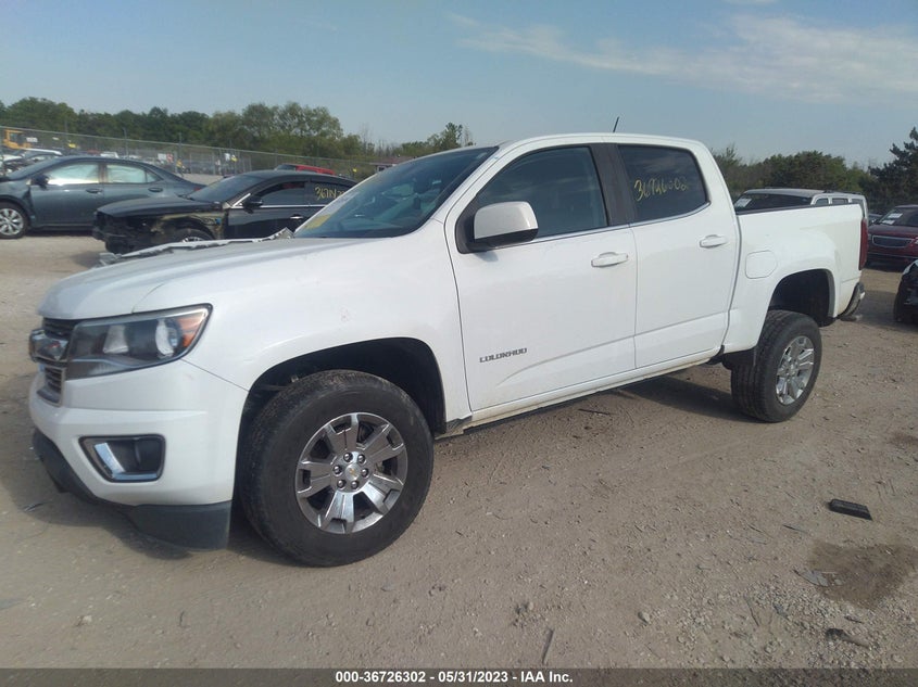 VIN 1GCGSCEN6K1100549 2019 CHEVROLET COLORADO 2WD LT