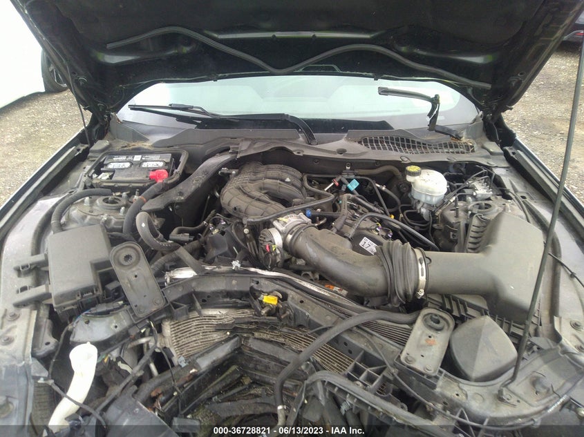VIN 1FA6P8AM6H5333491 2017 FORD MUSTANG V6