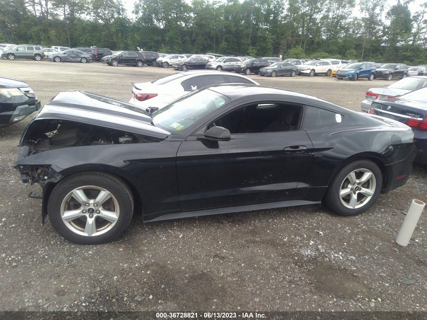 VIN 1FA6P8AM6H5333491 2017 FORD MUSTANG V6