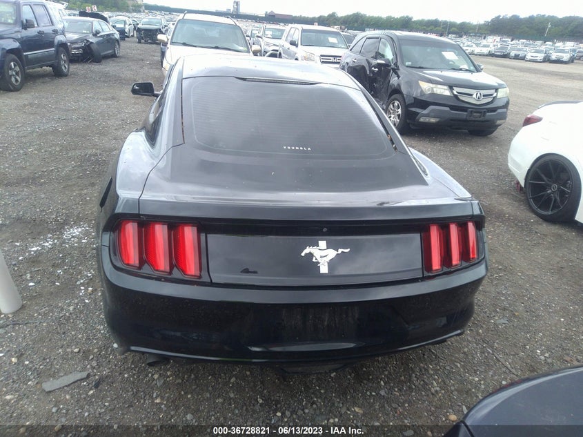 VIN 1FA6P8AM6H5333491 2017 FORD MUSTANG V6