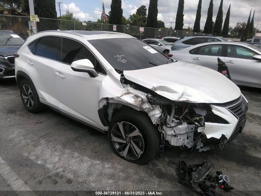 2020 LEXUS NX NX 300H - JTJGJRDZ5L5004316