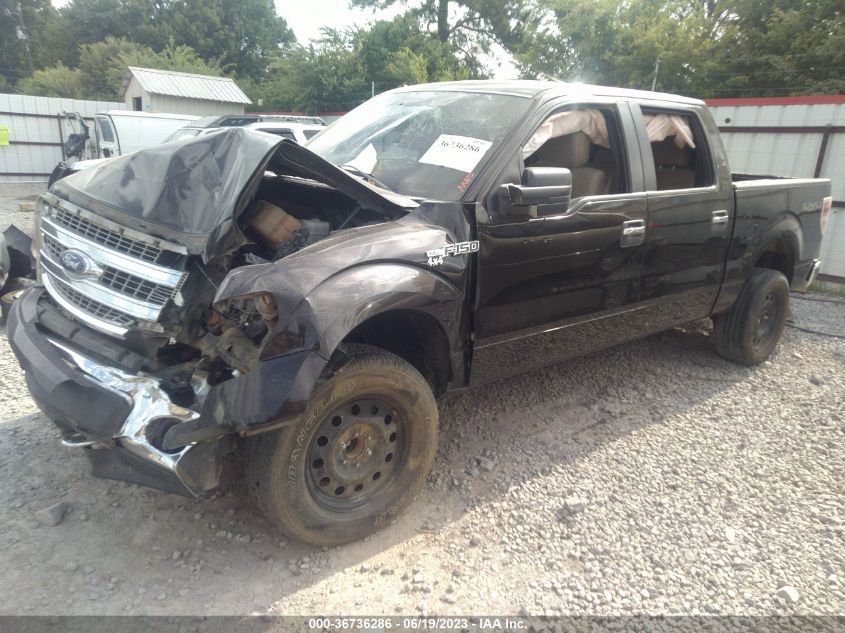 2013 FORD F-150 XL/XLT/FX4/LARIAT - 1FTFW1EF2DKF76047