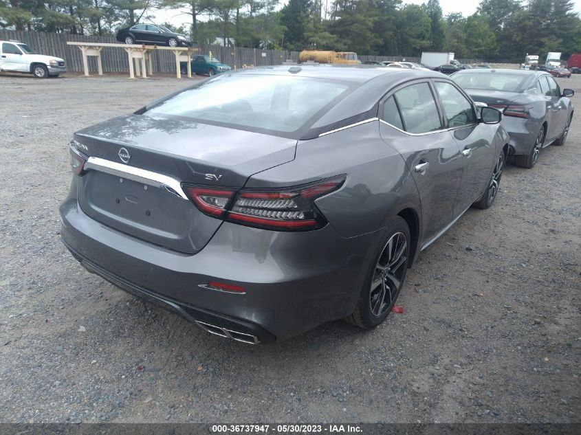 2023 NISSAN MAXIMA SV - 1N4AA6CV8PC509862