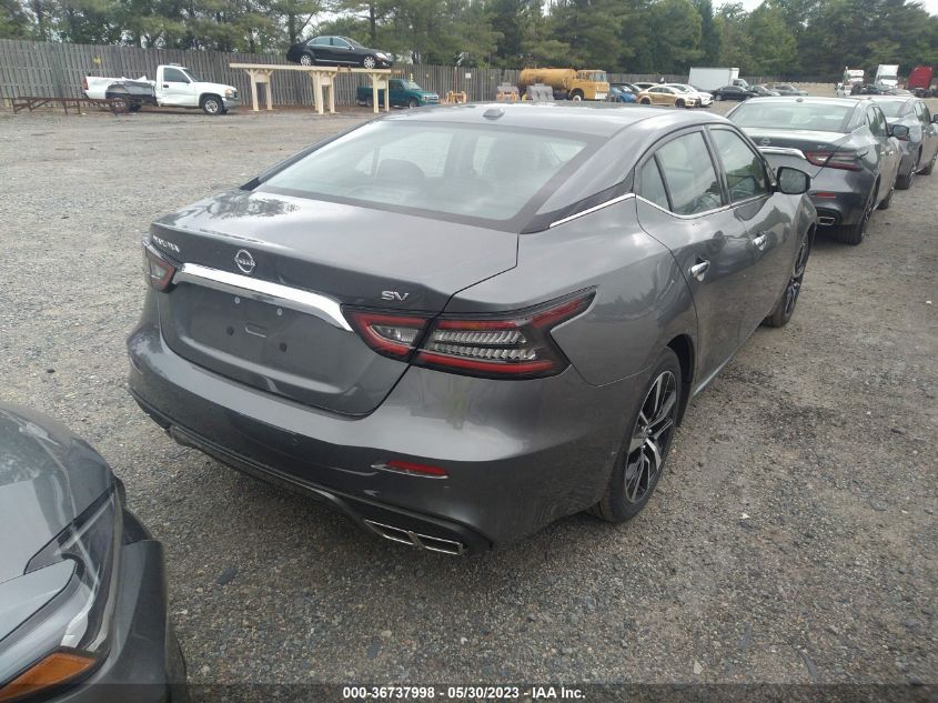 2023 NISSAN MAXIMA SV - 1N4AA6CV9PC509935