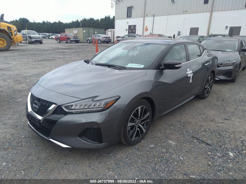 2023 NISSAN MAXIMA SV - 1N4AA6CV9PC509935