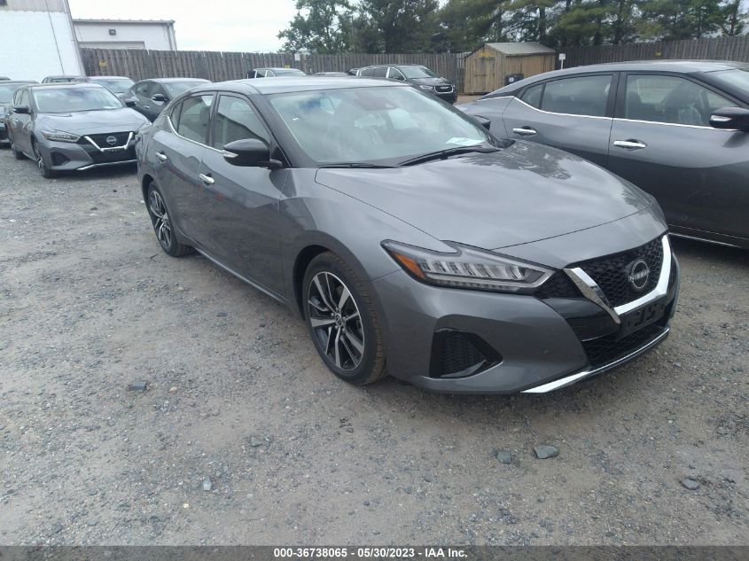 2023 NISSAN MAXIMA SV - 1N4AA6CV6PC509939