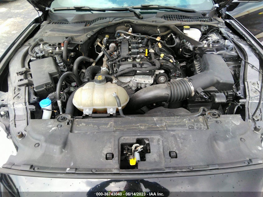 VIN 1FATP8UH1M5111761 2021 FORD MUSTANG ECOBOOST