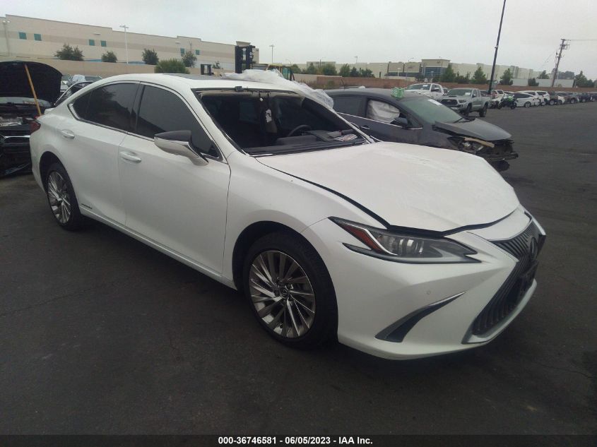 2019 LEXUS ES ES 300H - 58AB21B17KU001550