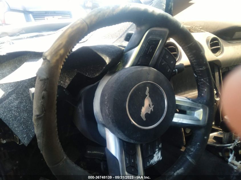 2019 FORD MUSTANG GT - 1FA6P8CF6K5144183