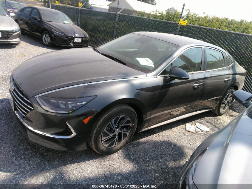 2023 HYUNDAI SONATA HYBRID BLUE - KMHL24JJ0PA067249