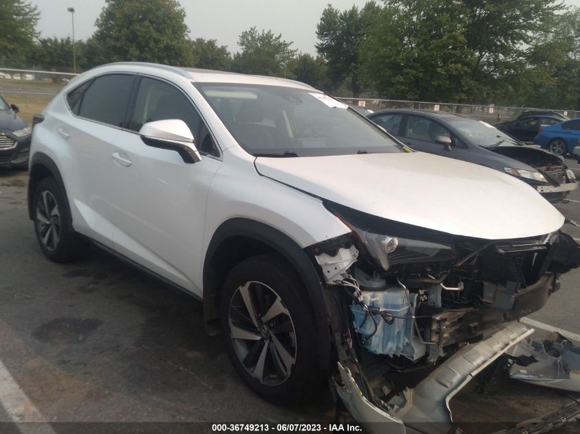 2021 LEXUS NX NX 300 - JTJGARDZ6M5021532