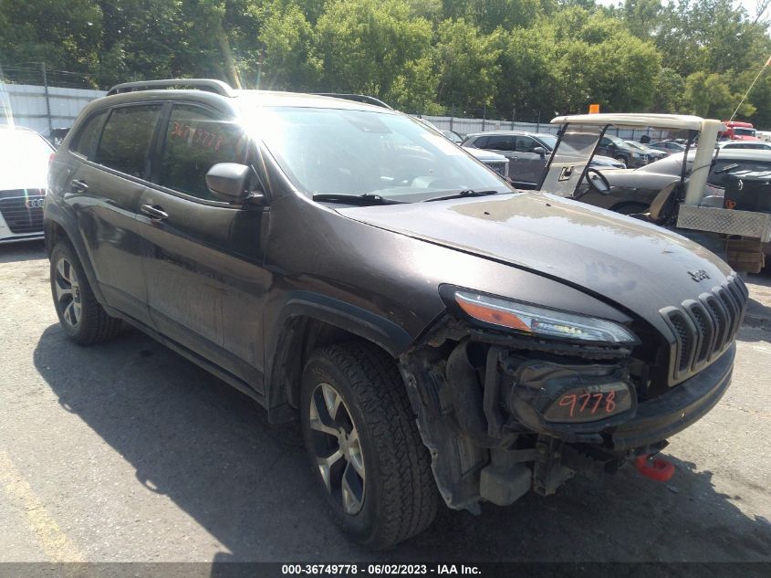 2014 JEEP CHEROKEE TRAILHAWK - 1C4PJMBS5EW189749