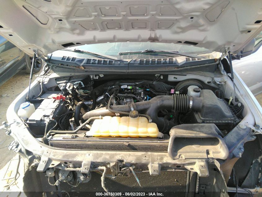 2019 FORD F-150 XL/XLT/LARIAT - 1FTEW1CP0KKE32131