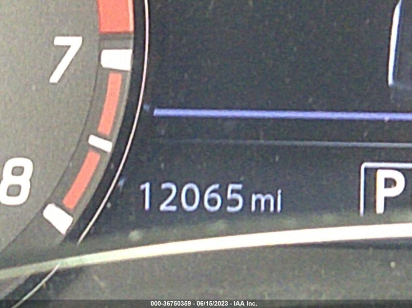 2022 NISSAN FRONTIER PRO-4X - 1N6ED1EK8NN674222