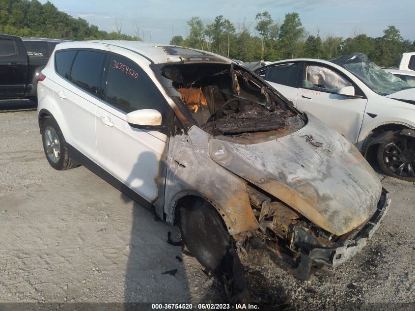 2014 FORD ESCAPE SE - 1FMCU0GX0EUD45075