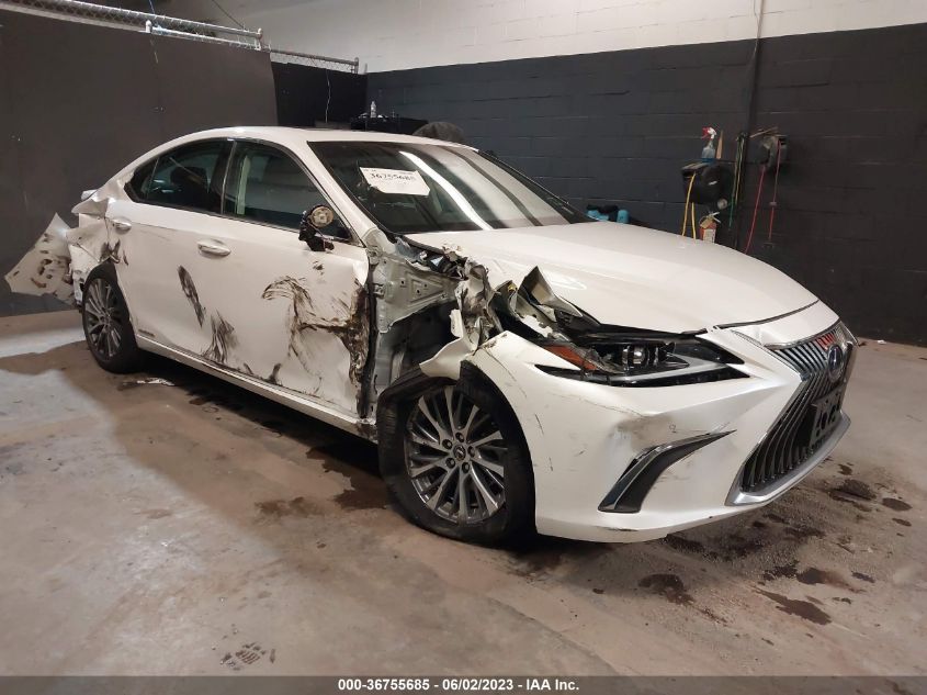 2021 LEXUS ES ES 300H - 58ADA1C16MU008051