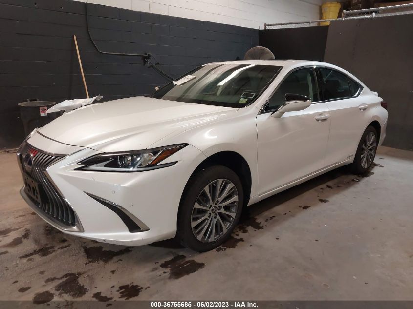 2021 LEXUS ES ES 300H - 58ADA1C16MU008051