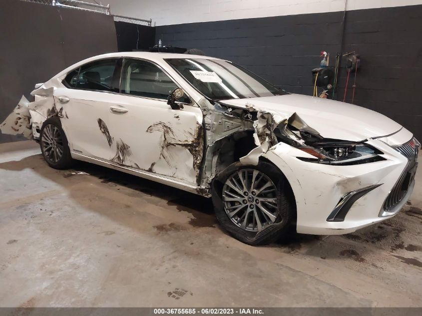 2021 LEXUS ES ES 300H - 58ADA1C16MU008051